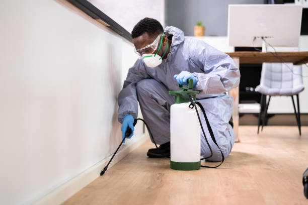 Best Fumigation Services  in Ridgemark, CA